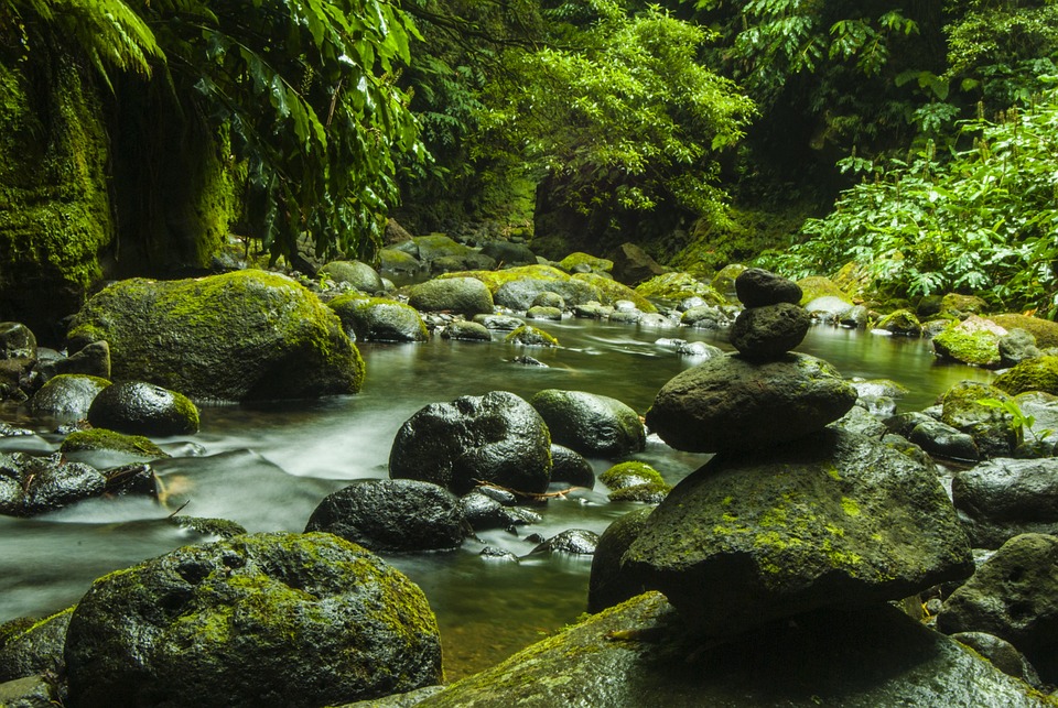 Les Açores : Une destination à ne pas manquer pour les amoureux de la nature