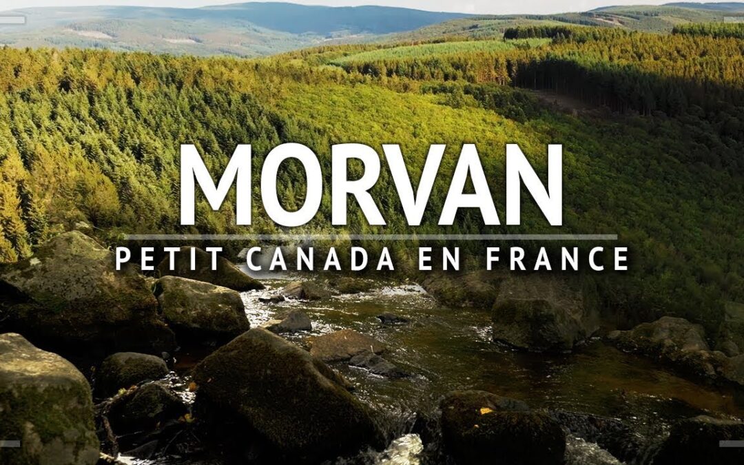 Top 5 des lieux incontournables à visiter dans le Morvan